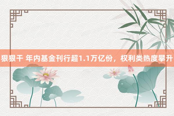 狠狠干 年内基金刊行超1.1万亿份，权利类热度攀升