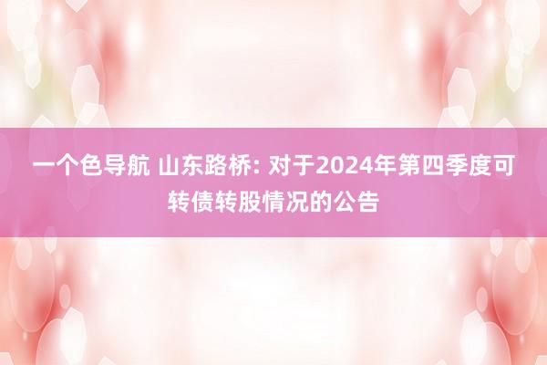 一个色导航 山东路桥: 对于2024年第四季度可转债转股情况的公告