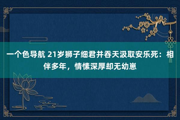 一个色导航 21岁狮子细君并吞天汲取安乐死：相伴多年，情愫深厚却无幼崽