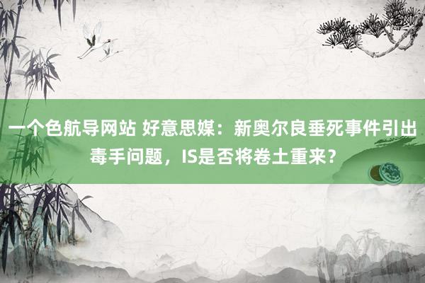 一个色航导网站 好意思媒：新奥尔良垂死事件引出毒手问题，IS是否将卷土重来？