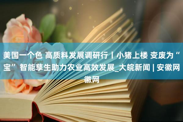 美国一个色 高质料发展调研行丨小猪上楼 变废为“宝” 智能孳生助力农业高效发展_大皖新闻 | 安徽网