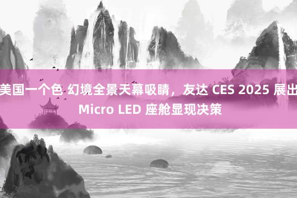 美国一个色 幻境全景天幕吸睛，友达 CES 2025 展出 Micro LED 座舱显现决策