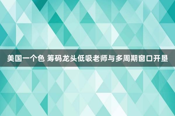 美国一个色 筹码龙头低吸老师与多周期窗口开垦