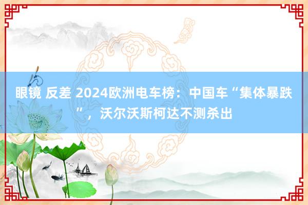 眼镜 反差 2024欧洲电车榜：中国车“集体暴跌”，沃尔沃斯柯达不测杀出