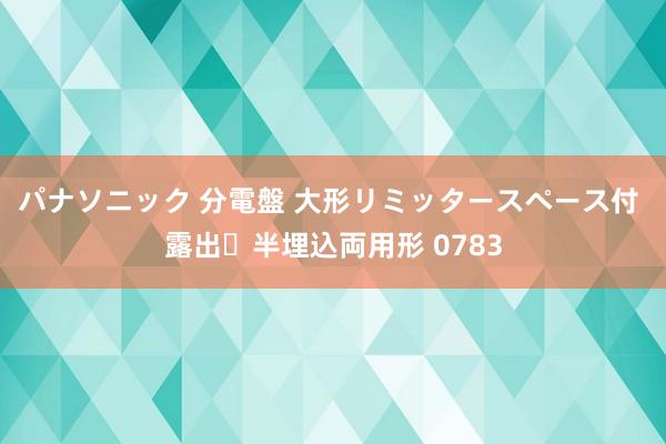 パナソニック 分電盤 大形リミッタースペース付 露出・半埋込両用形 0783