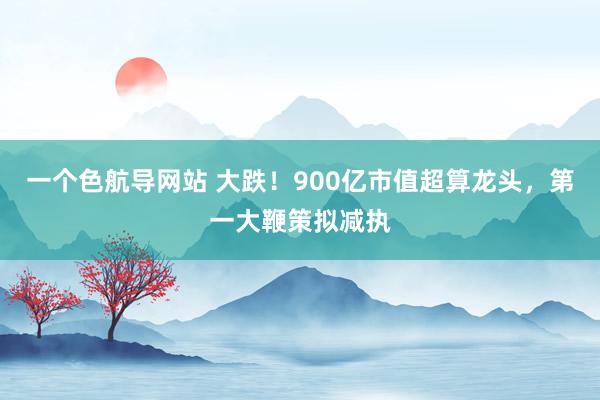 一个色航导网站 大跌！900亿市值超算龙头，第一大鞭策拟减执