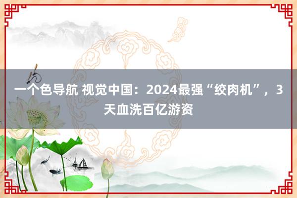 一个色导航 视觉中国：2024最强“绞肉机”，3天血洗百亿游资