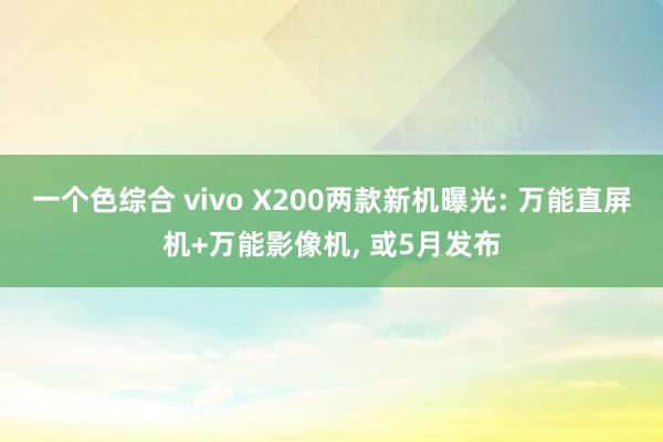 一个色综合 vivo X200两款新机曝光: 万能直屏机+万能影像机， 或5月发布