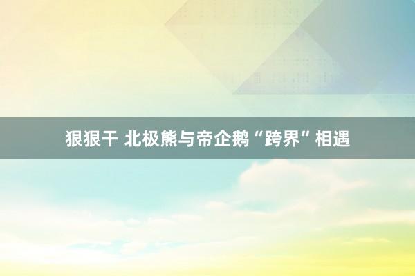 狠狠干 北极熊与帝企鹅“跨界”相遇